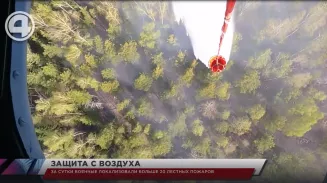 За сутки военные локализовали больше 20 лесных пожаров За сутки военные локализовали больше 20 лесных пожаров