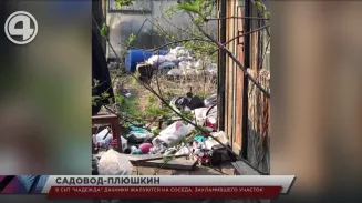 В СНТ "Надежда" дачники жалуются на соседа, захламившего участок В СНТ "Надежда" дачники жалуются на соседа, захламившего участок