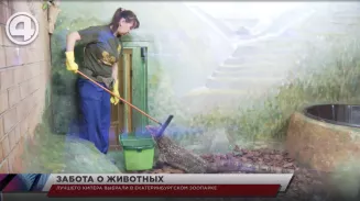 Лучшего кипера выбрали в Екатеринбургском зоопарке Лучшего кипера выбрали в Екатеринбургском зоопарке