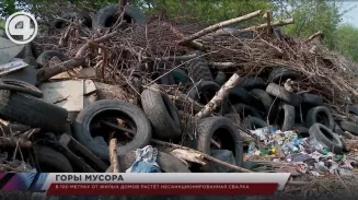 В 100 метрах от жилых домов растёт несанкционированная свалка