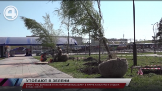 Около 400 деревьев и кустарников высадили в Парке культуры и отдыха Богдановича Около 400 деревьев и кустарников высадили в Парке культуры и отдыха Богдановича