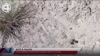Сажа в деревне Коновалово накрывает дома и огороды