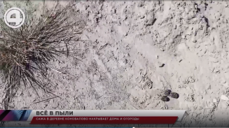 Сажа в деревне Коновалово накрывает дома и огороды Сажа в деревне Коновалово накрывает дома и огороды