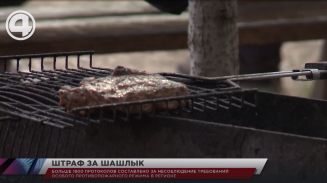 Больше 1800 протоколов составлено за несоблюдение требований противопожарного режима в регионе Больше 1800 протоколов составлено за несоблюдение требований противопожарного режима в регионе