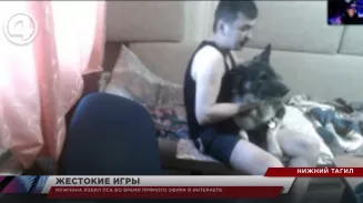 Мужчина избил пса во время прямого эфира в Интернете Мужчина избил пса во время прямого эфира в Интернете
