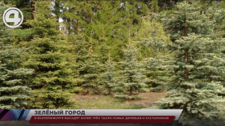 В Екатеринбурге высадят более трёх тысяч новых деревьев и кустарников В Екатеринбурге высадят более трёх тысяч новых деревьев и кустарников