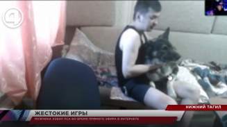Мужчина избил пса во время прямого эфира в Интернете Мужчина избил пса во время прямого эфира в Интернете