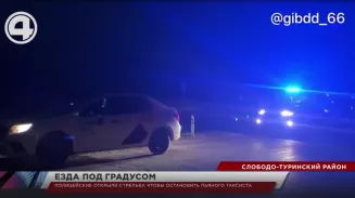 Полицейские открыли стрельбу, чтобы остановить пьяного таксиста Полицейские открыли стрельбу, чтобы остановить пьяного таксиста