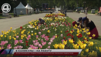 Летом планируют трудоустроить больше 33 000 уральских подростков Летом планируют трудоустроить больше 33 000 уральских подростков