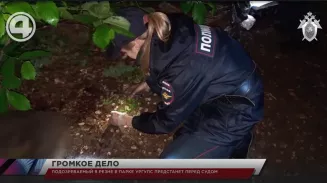 Подозреваемый в резне в парке УрГУПС предстанет перед судом Подозреваемый в резне в парке УрГУПС предстанет перед судом