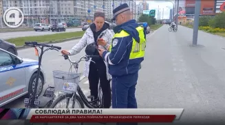 45 нарушителей за два часа поймали на пешеходном переходе 45 нарушителей за два часа поймали на пешеходном переходе
