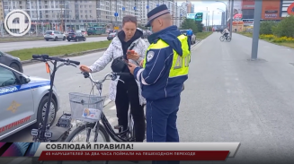 45 нарушителей за два часа поймали на пешеходном переходе 45 нарушителей за два часа поймали на пешеходном переходе