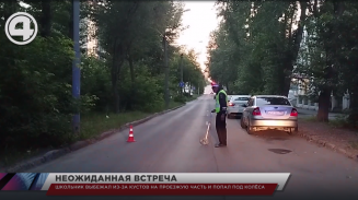 Школьник выбежал из-за кустов на проезжую часть и попал под колёса Школьник выбежал из-за кустов на проезжую часть и попал под колёса