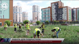 Больше 18 тысяч школьников планируют трудоустроить летом Больше 18 тысяч школьников планируют трудоустроить летом
