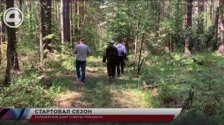 Полицейские дают советы грибникам Полицейские дают советы грибникам