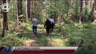 Полицейские дают советы грибникам Полицейские дают советы грибникам