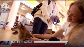 Хвостатый антистресс помогает абитуриентам Хвостатый антистресс помогает абитуриентам