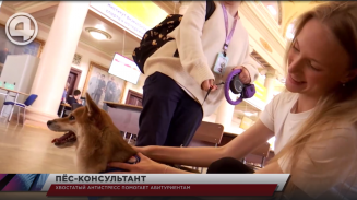 Хвостатый антистресс помогает абитуриентам Хвостатый антистресс помогает абитуриентам