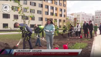 Липовая аллея появилась на территории нового кампуса УрФУ в Новокольцовском Липовая аллея появилась на территории нового кампуса УрФУ в Новокольцовском