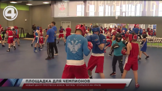 Новый центр прогресса бокса "Витязь" открылся на Урале Новый центр прогресса бокса "Витязь" открылся на Урале