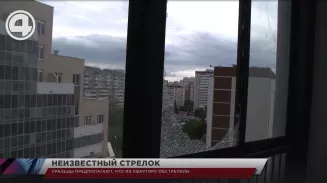 Уральцы предполагают, что их квартиру обстреляли Уральцы предполагают, что их квартиру обстреляли