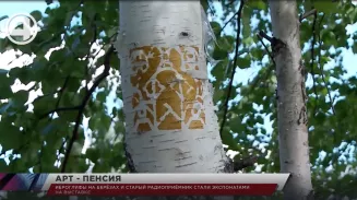 Иероглифы на берёзах и старый радиоприёмник стали экспонатами на выставке Иероглифы на берёзах и старый радиоприёмник стали экспонатами на выставке