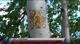 Иероглифы на берёзах и старый радиоприёмник стали экспонатами на выставке Иероглифы на берёзах и старый радиоприёмник стали экспонатами на выставке