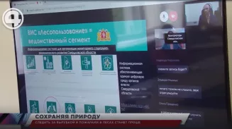 В Свердловской области запустили информационную систему управления лесным комплексом В Свердловской области запустили информационную систему управления лесным комплексом