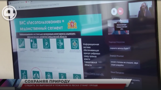 В Свердловской области запустили информационную систему управления лесным комплексом В Свердловской области запустили информационную систему управления лесным комплексом