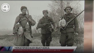 Популяция косуль и лосей на Урале увеличилась в два раза Популяция косуль и лосей на Урале увеличилась в два раза