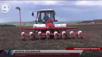 Капризы уральской погоды на будущий урожай не повлияют Капризы уральской погоды на будущий урожай не повлияют