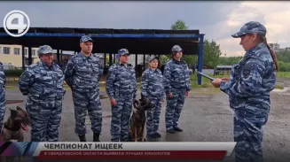 В Свердловской области выявили лучших кинологов В Свердловской области выявили лучших кинологов