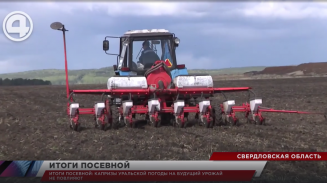 Капризы уральской погоды на будущий урожай не повлияют Капризы уральской погоды на будущий урожай не повлияют