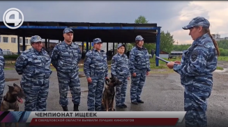 В Свердловской области выявили лучших кинологов В Свердловской области выявили лучших кинологов