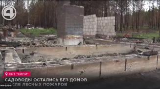 Садоводы остались без домов после лесных пожаров Садоводы остались без домов после лесных пожаров