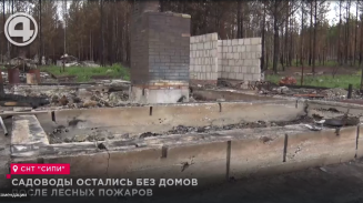 Садоводы остались без домов после лесных пожаров Садоводы остались без домов после лесных пожаров