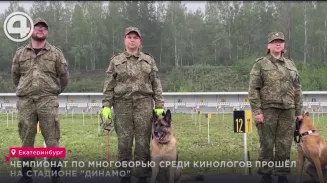 Чемпионат по многоборью среди кинологов прошёл на стадионе "Динамо" Чемпионат по многоборью среди кинологов прошёл на стадионе "Динамо"