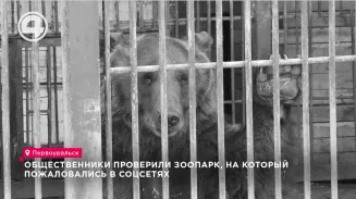 Пост о состоянии обитателей первоуральского зоопарка возмутил пользователей соцсетей Пост о состоянии обитателей первоуральского зоопарка возмутил пользователей соцсетей