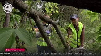 Волонтёры провели субботник на территории ЦГБ № 23 Волонтёры провели субботник на территории ЦГБ № 23