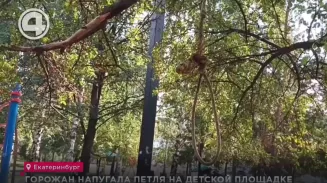 Горожан напугала петля на детской площадке Горожан напугала петля на детской площадке