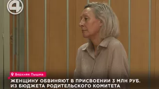 Женщину обвиняют в присвоении 3 млн руб. из бюджета родительского комитета Женщину обвиняют в присвоении 3 млн руб. из бюджета родительского комитета