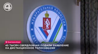 45 тысяч свердловчан подали заявление на дистанционное голосование 45 тысяч свердловчан подали заявление на дистанционное голосование