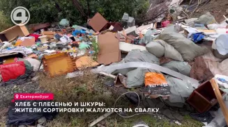Хлеб с плесенью и шкуры: жители Сортировки жалуются на свалку Хлеб с плесенью и шкуры: жители Сортировки жалуются на свалку