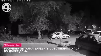 Мужчина пытался зарезать собственного пса во дворе дома Мужчина пытался зарезать собственного пса во дворе дома