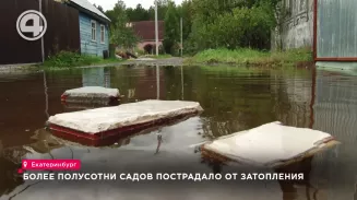 Более полусотни садов пострадало от затопления Более полусотни садов пострадало от затопления