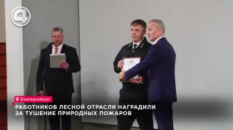 Работников лесной отрасли наградили за тушение природных пожаров Работников лесной отрасли наградили за тушение природных пожаров