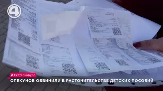 Опекунов обвинили в расточительстве детских пособий Опекунов обвинили в расточительстве детских пособий