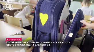 Госавтоинспекторы напомнили о важности светоотражающих элементов Госавтоинспекторы напомнили о важности светоотражающих элементов