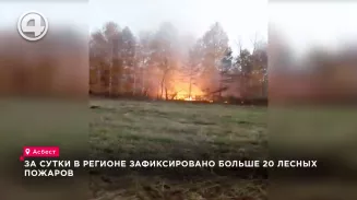 За сутки в регионе зафиксировано больше 20 лесных пожаров За сутки в регионе зафиксировано больше 20 лесных пожаров