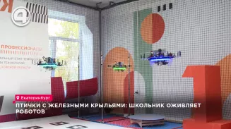 Птички с железными крыльями: школьник оживляет роботов Птички с железными крыльями: школьник оживляет роботов
